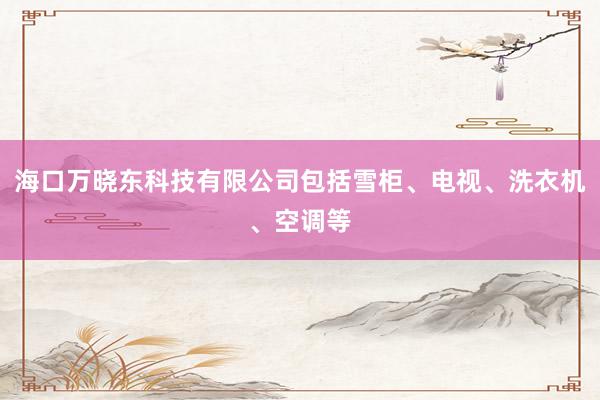 海口万晓东科技有限公司包括雪柜、电视、洗衣机、空调等