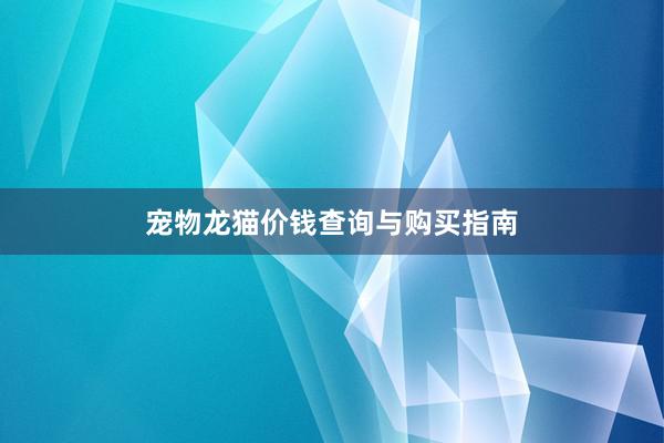 宠物龙猫价钱查询与购买指南