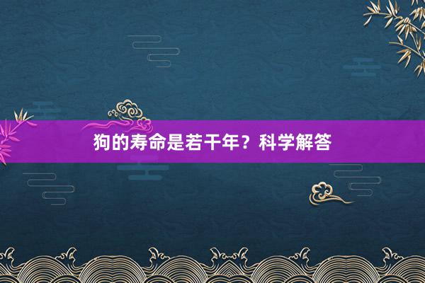狗的寿命是若干年？科学解答